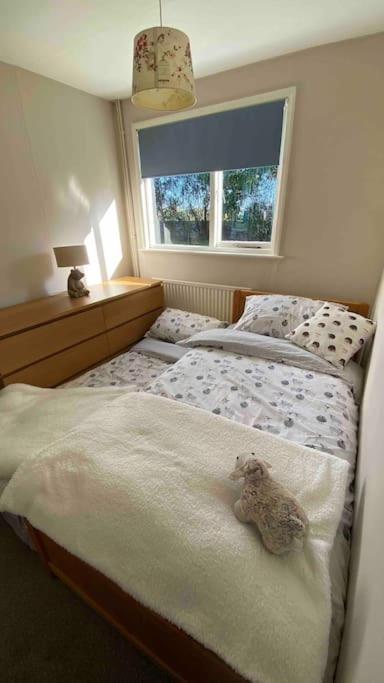 Cheerful 3 Bedroom Bungalow With Indoor Fire Place Gloucester Dış mekan fotoğraf